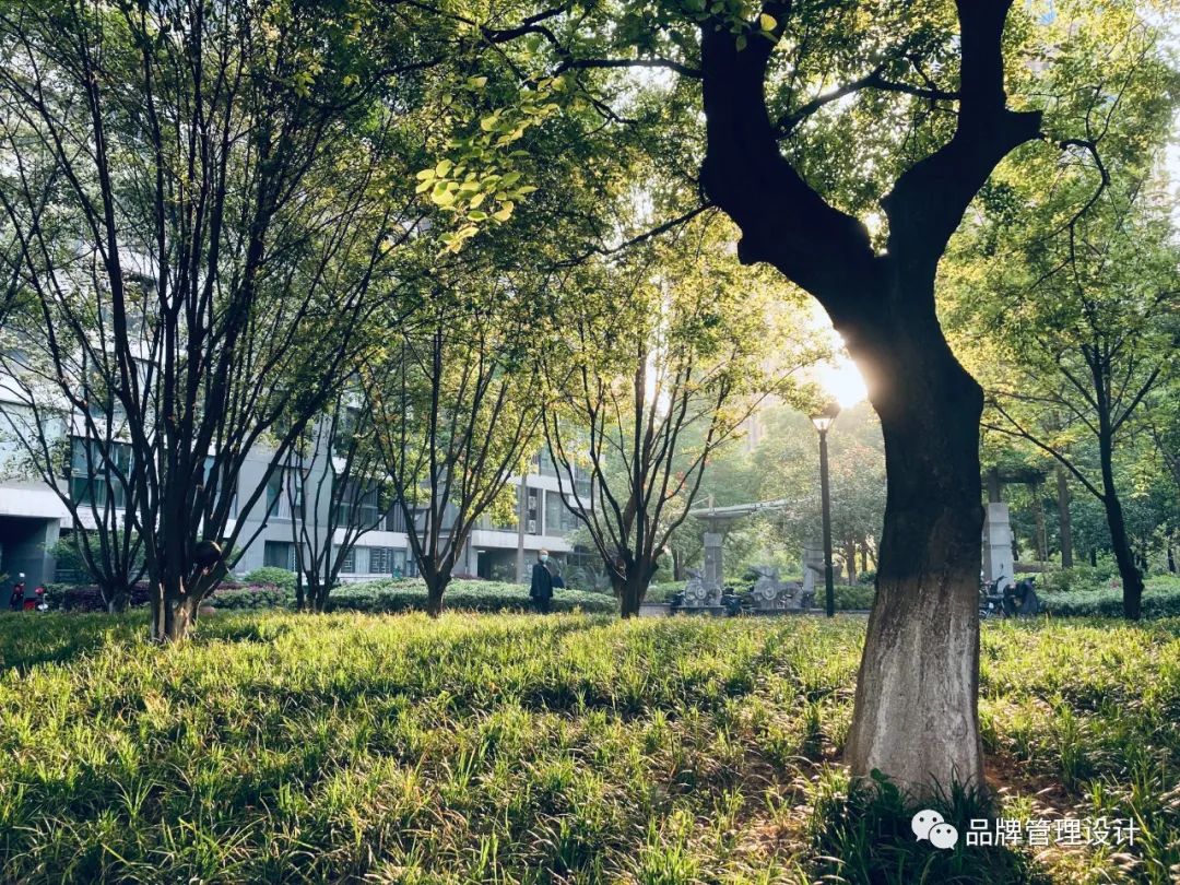 1683610935486363.jpg a4.jpg