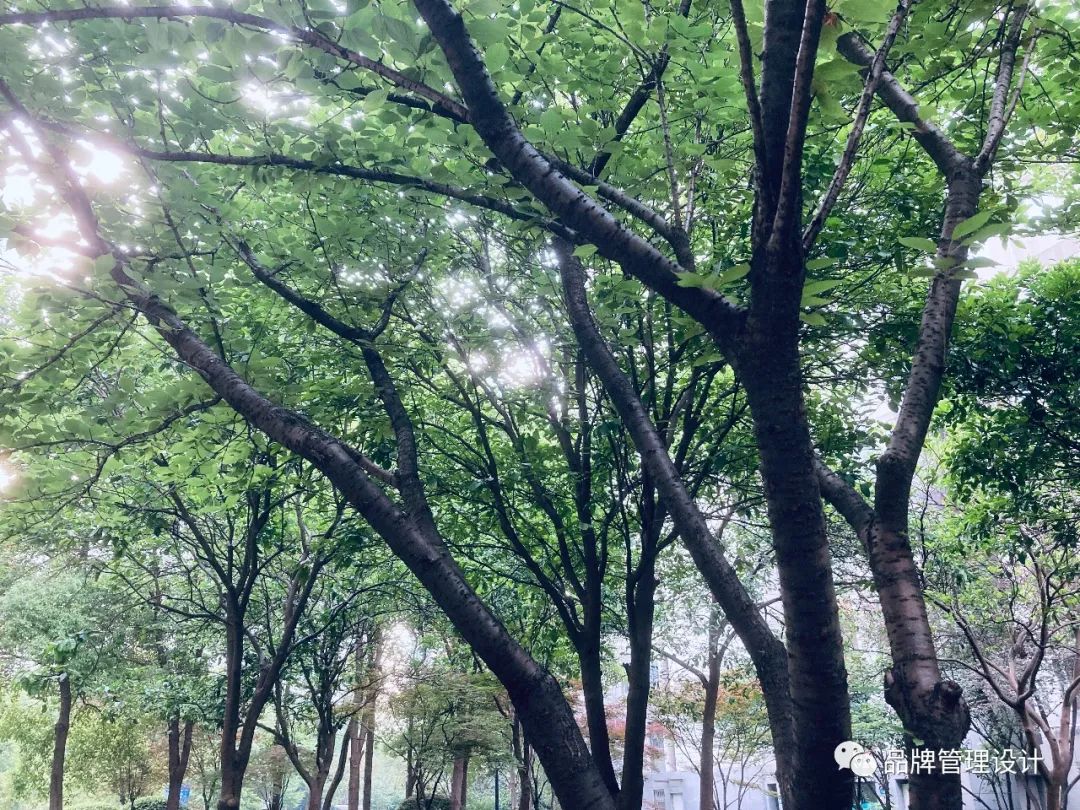 1685429975270919.jpg q7.jpg