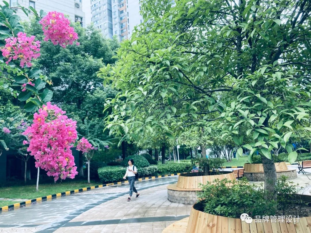 1698799810268880.jpg 01.jpg