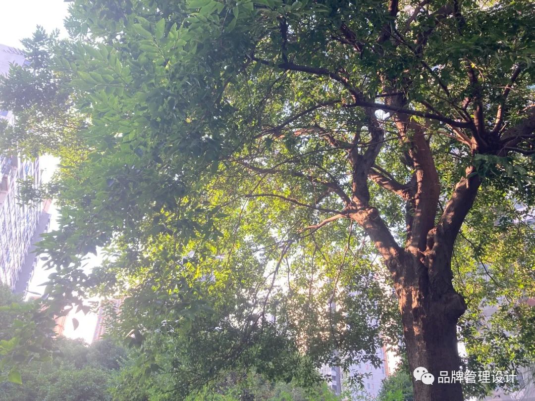 1698799840390126.jpg 03.jpg