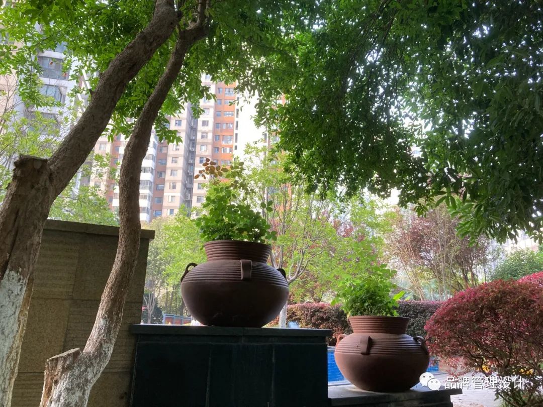 1698799864209387.jpg 04.jpg